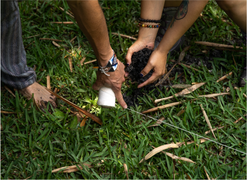 Students planting in a field